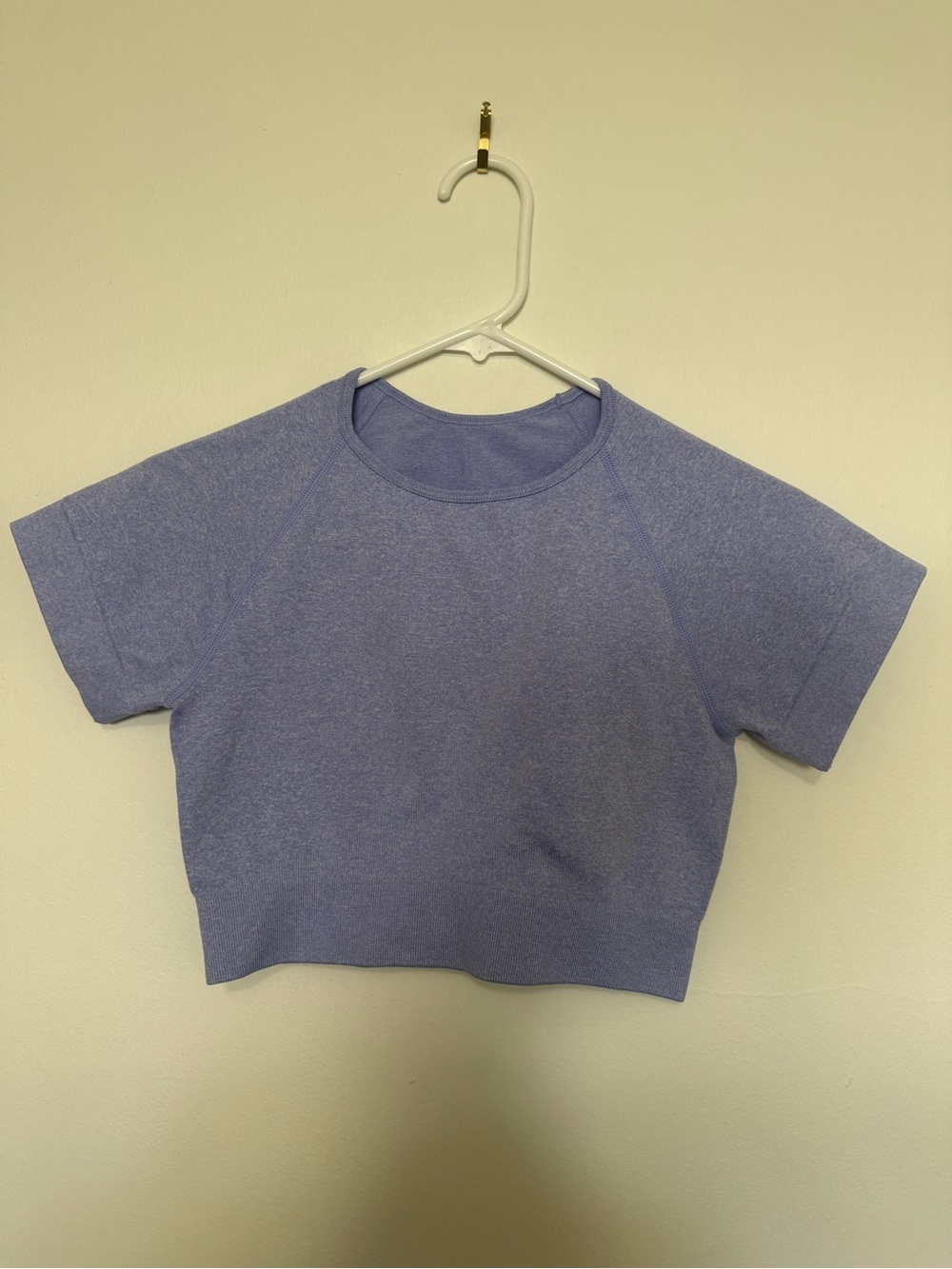 Cropped Crew Tee in Lavender Blue - Women